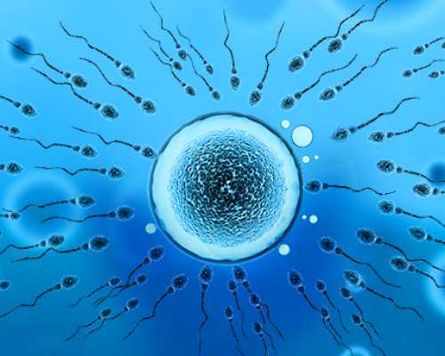 香港私立医院能验血查性别吗,孕早期做香港验血Y-DNA筛查，知道胎儿男女有什么