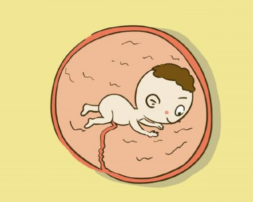 香港验血女宝的有吗,备孕、哺乳、做不孕不育治疗的能打新冠疫苗吗?有哪些禁