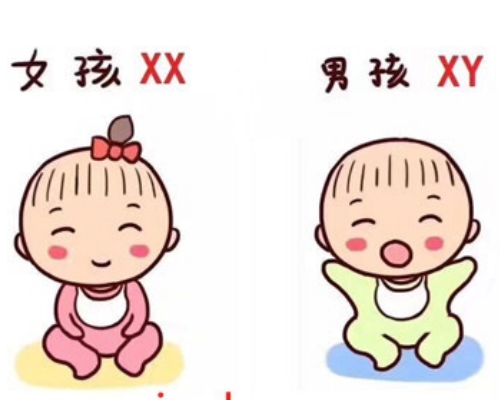 香港验血要多少个D才是男宝,提高怀女宝宝的6个技巧，备孕妈妈赶紧收藏吧
