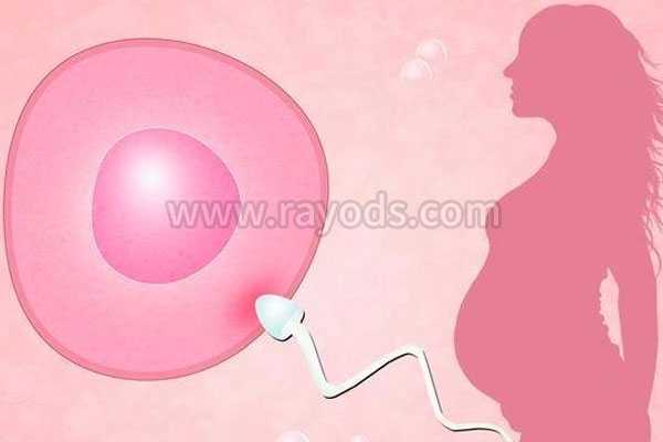 怀孕52天验血查男女准吗香港,39岁的姐妹们想通过人工授精技术助孕成功率是多