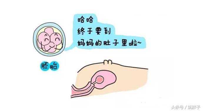 香港信康医疗验血准吗,明星试管都是双胎，为什么非要让我只移植一个胚胎？