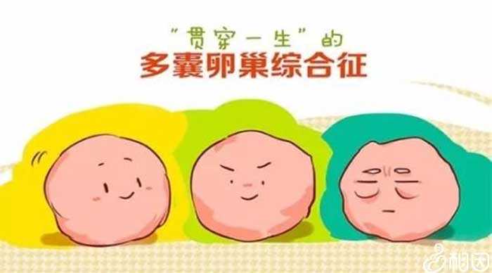 香港验血微信账号异常了怎么回事,多囊卵巢怎么备孕才能成功？除了试管还有