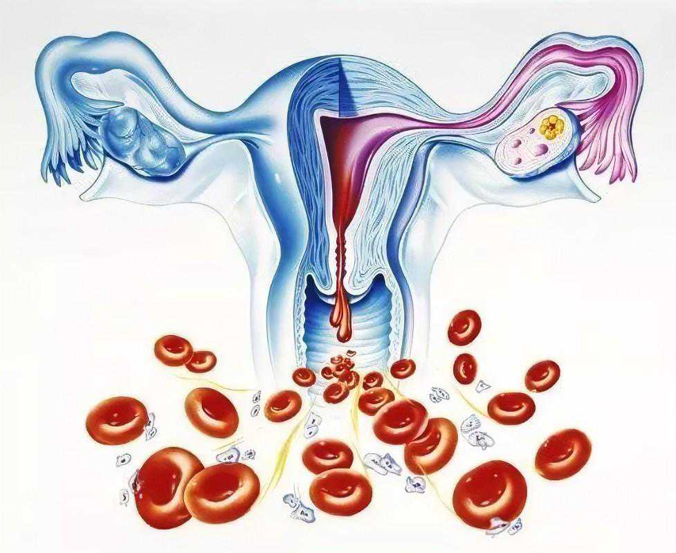 香港验血测胎儿性别正规三大机构,排卵期出血怎么了？非经期出血2情况，5大原