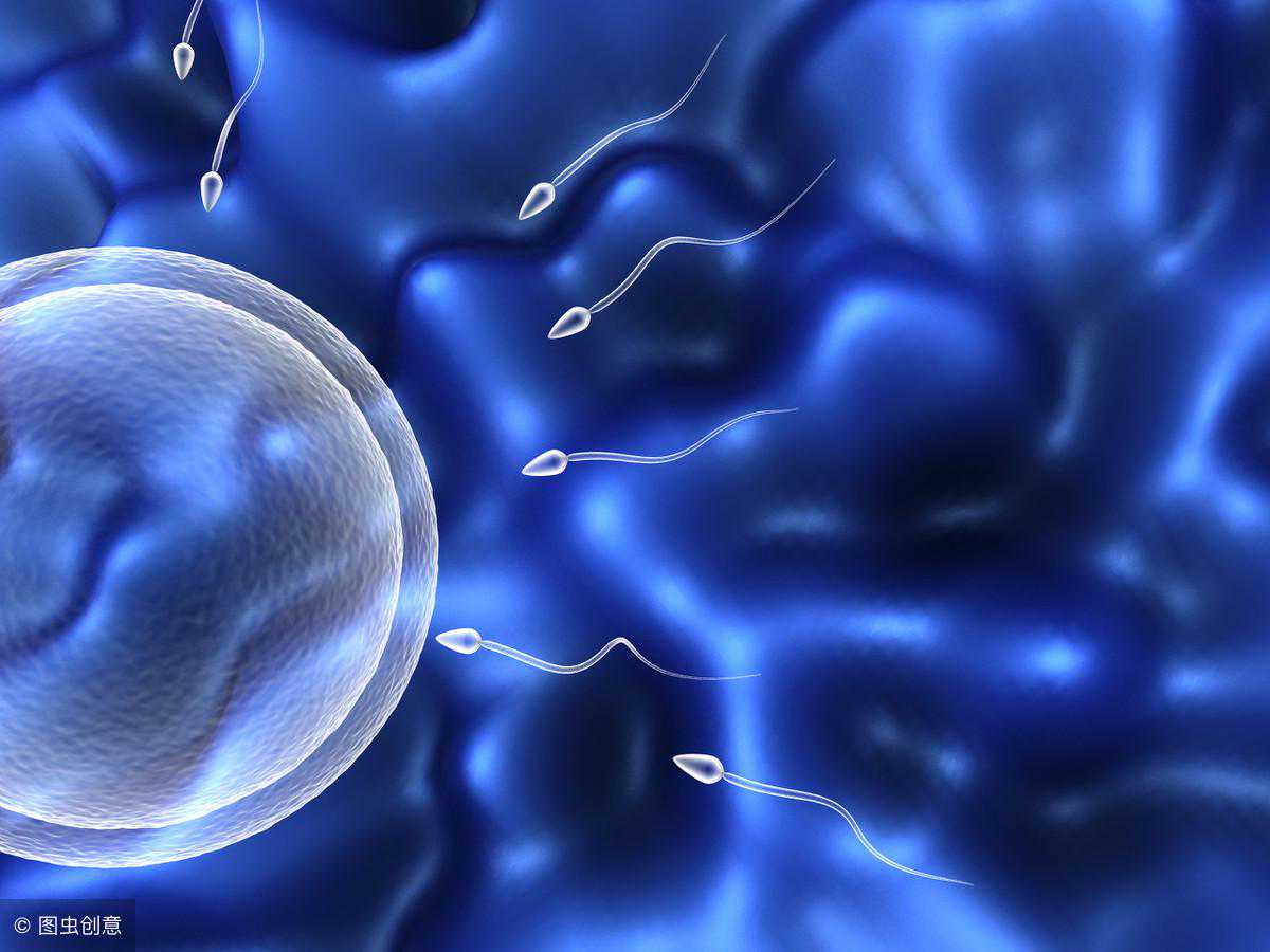 香港验血验一次多少钱,备孕二胎男孩成功经验，来说说怎么科学怀男宝宝？