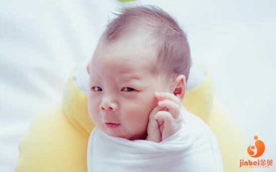 内地去香港验血去哪个诊所最方便,【供卵怀孕对得起妻子吗】成功备孕猴宝宝